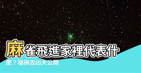 麻雀飛進家裡代表什麼|【麻雀飛到家裡】麻雀飛進家有啥神奇預示？竟和財運。